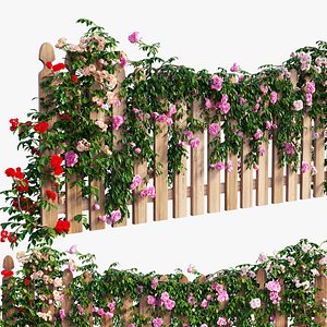 rose plant model