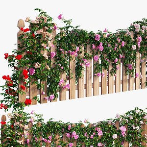 Rose plant set 48