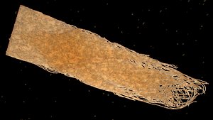 Organic Tissue fibrous Structure