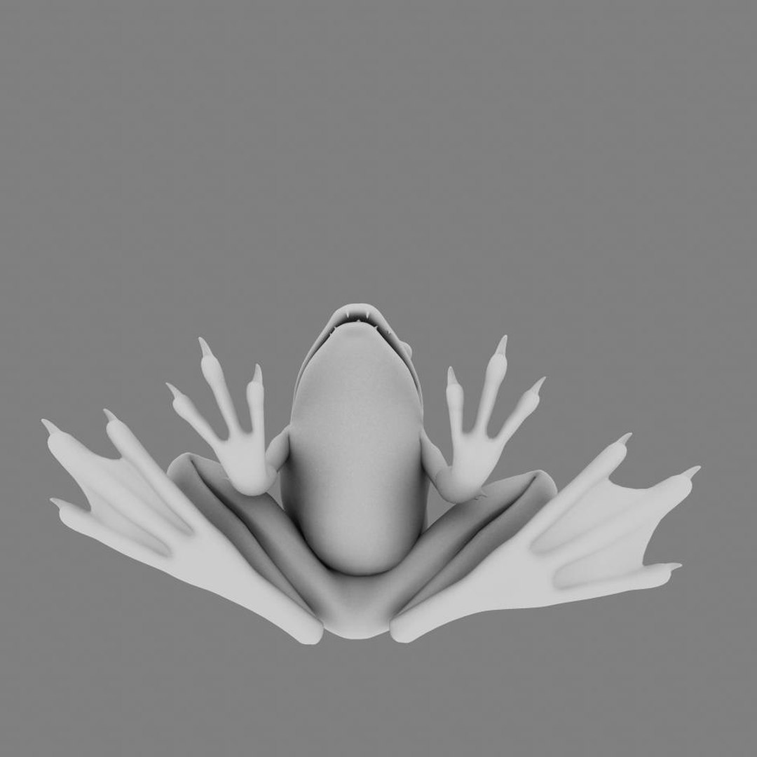 Maya Stylized Frog
