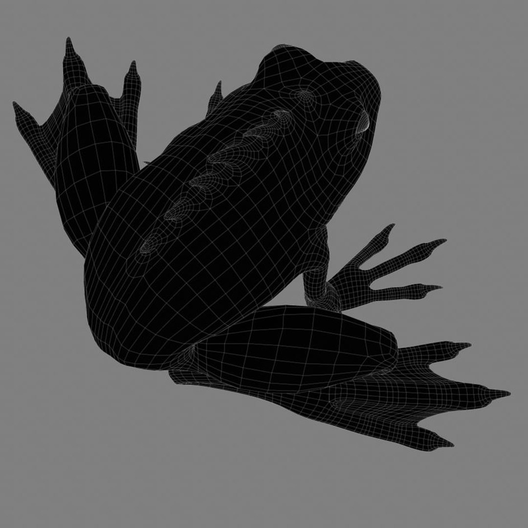 Maya Stylized Frog