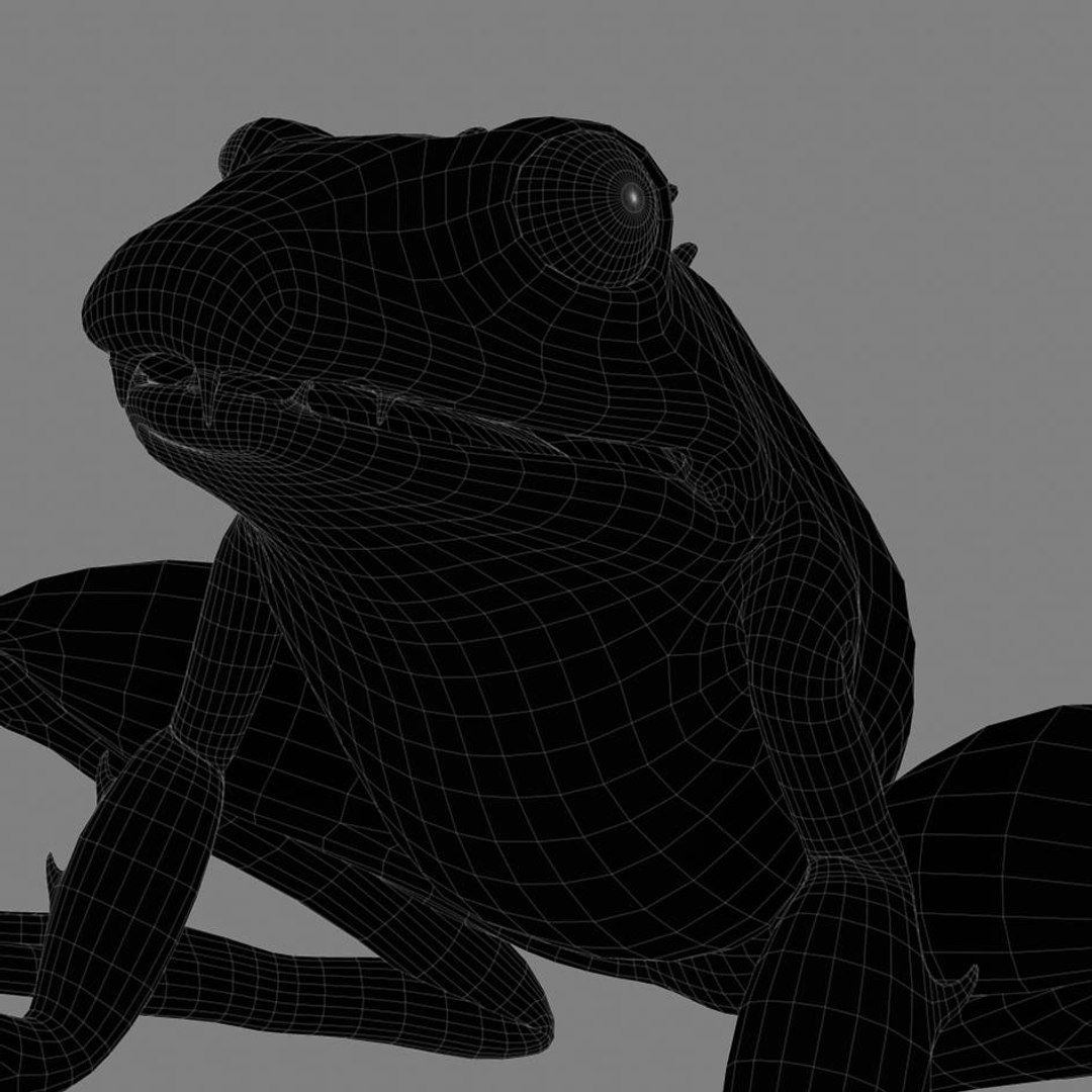 Maya Stylized Frog
