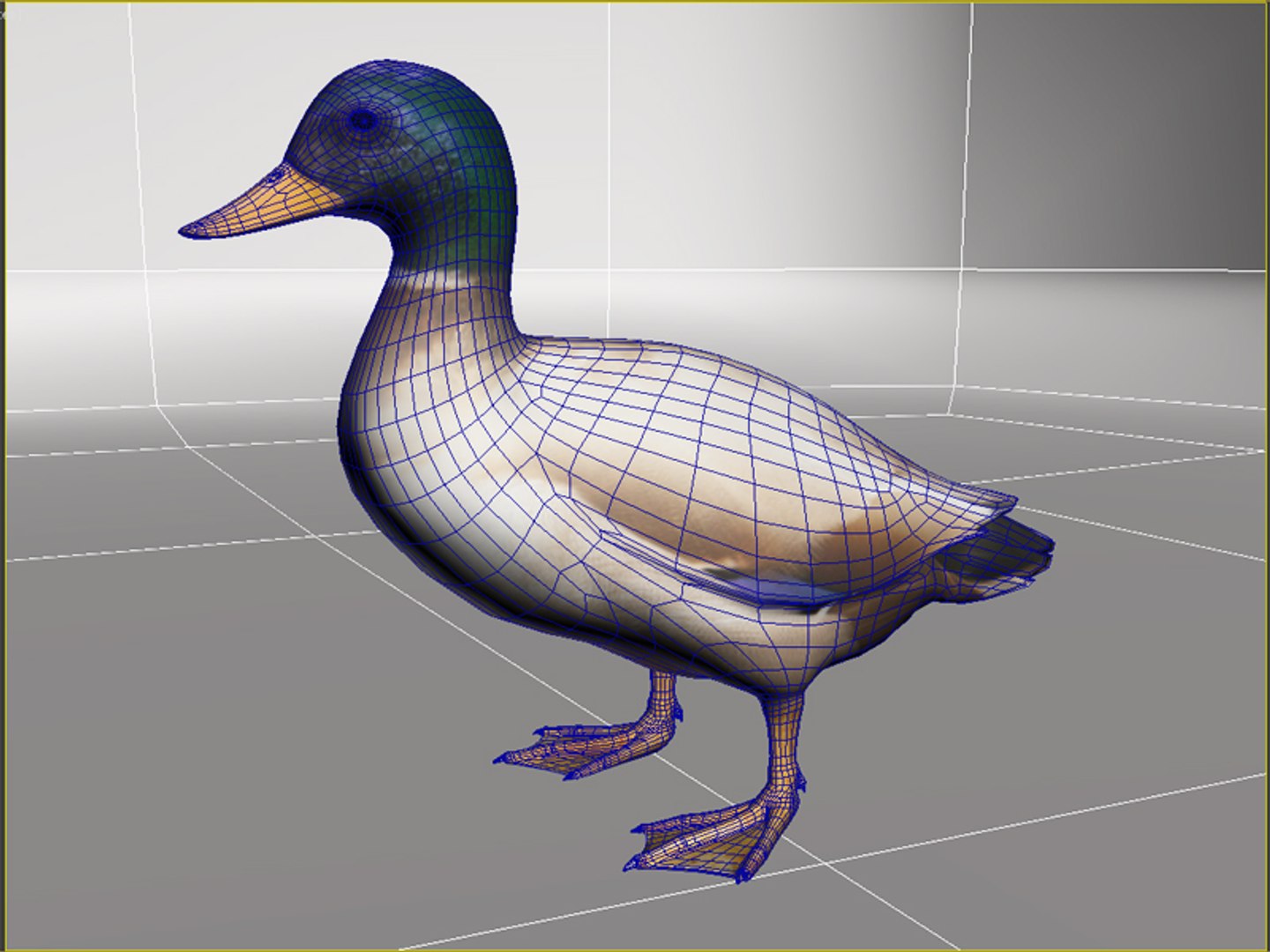 duck 3d model https://p.turbosquid.com/ts-thumb/kZ/n7HHD2/2jIoIFTt/6/jpg/1392657060/1920x1080/fit_q87/87911e6a88ff1375785081d73cd2d0eb35456ad2/6.jpg