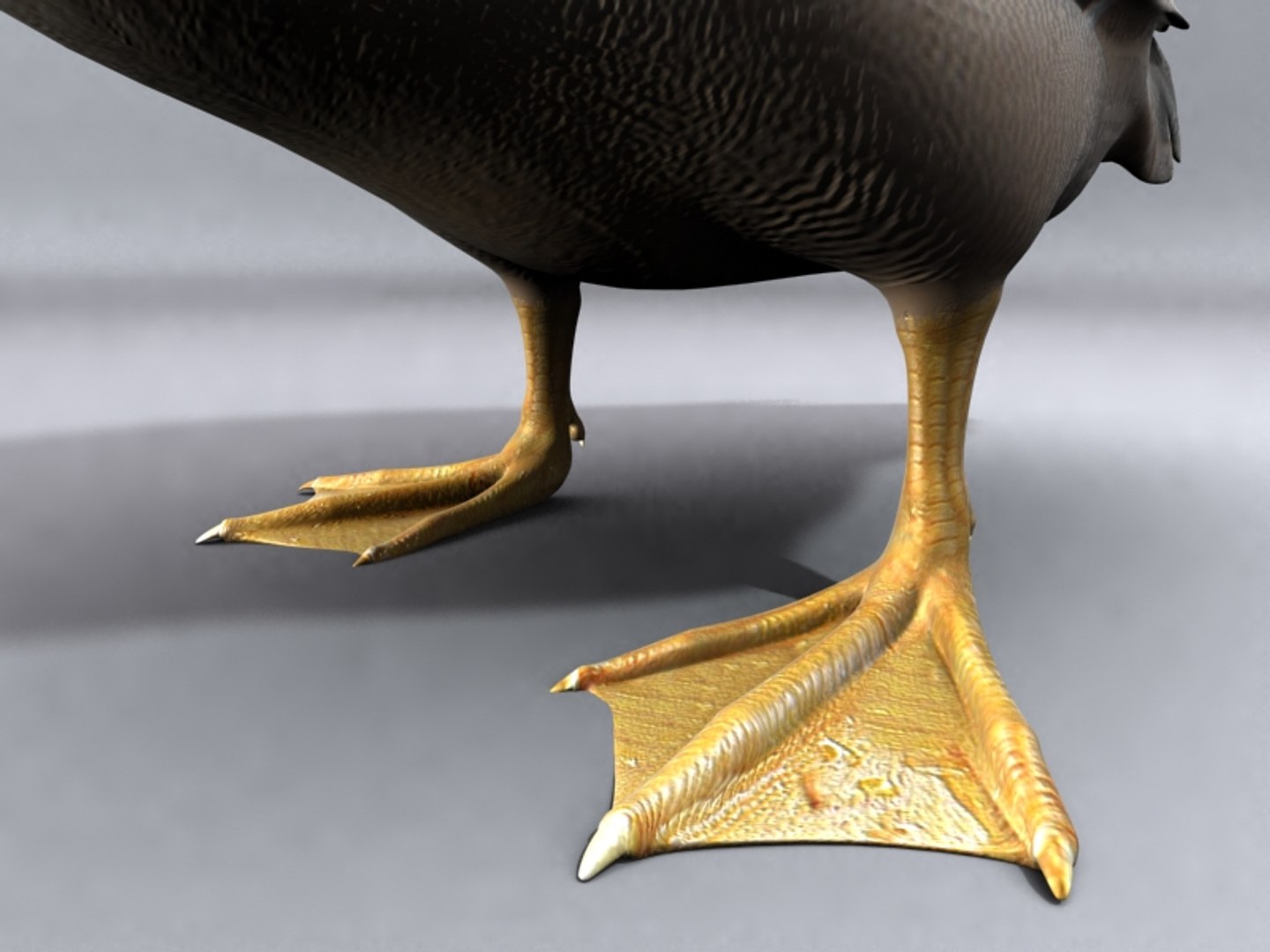 duck 3d model https://p.turbosquid.com/ts-thumb/kZ/n7HHD2/gUGcfvwF/2/jpg/1392657060/1920x1080/fit_q87/de3c348d8d82d7c2467d6b94595885849909eb37/2.jpg