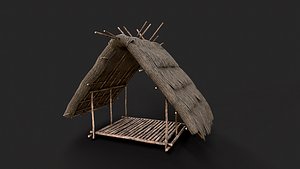3D model Primitive Wooden Shelter with Thatch Roof 2