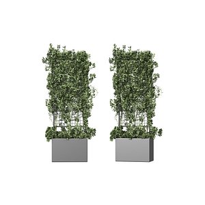 Botanical Planter 2 3D