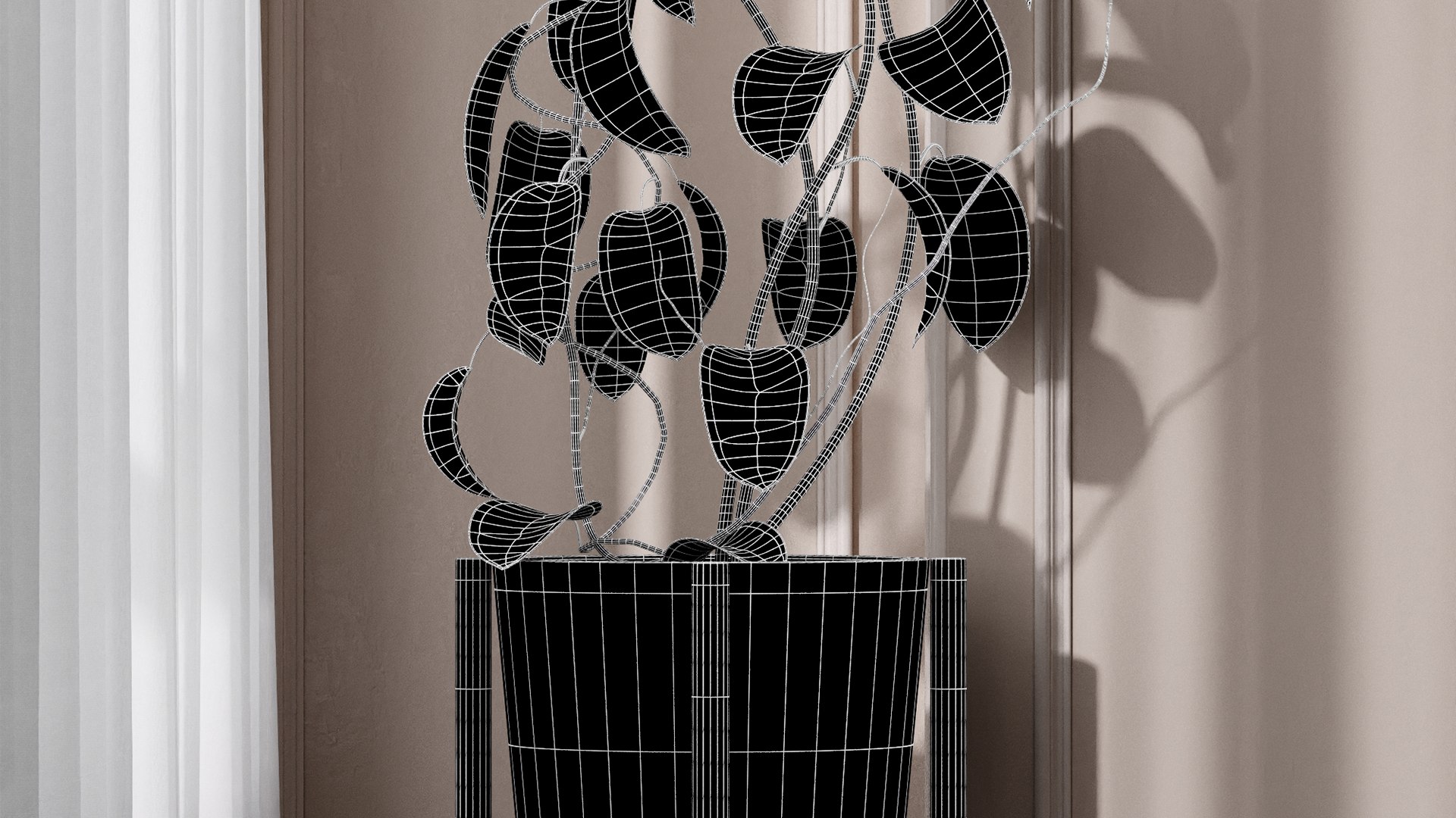 Hoya fungii lujah plant 3D model https://p.turbosquid.com/ts-thumb/ka/12Srjb/Ri/z07/png/1719136137/1920x1080/fit_q87/72648e74436fd777d21e60fa7c209d3f7856a1e8/z07.jpg