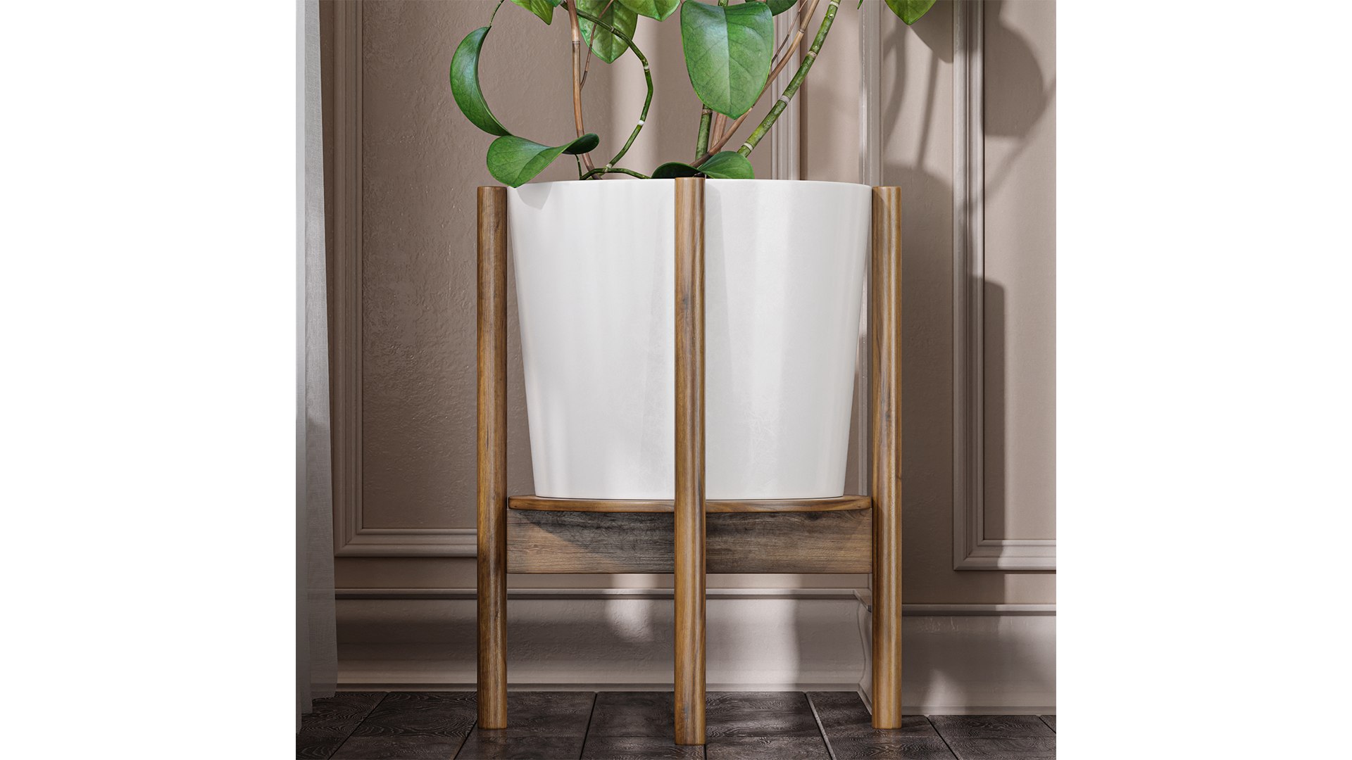 Hoya fungii lujah plant 3D model https://p.turbosquid.com/ts-thumb/ka/12Srjb/lu/z04/png/1719136130/1920x1080/fit_q87/305bc0339306b04a7835d6b845d9b40950d2619d/z04.jpg