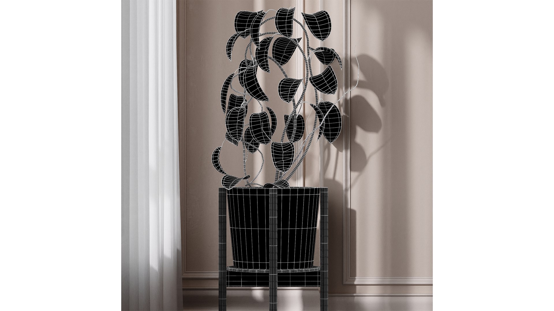 Hoya fungii lujah plant 3D model https://p.turbosquid.com/ts-thumb/ka/12Srjb/mh/z06/png/1719136135/1920x1080/fit_q87/b2984ed18207cfda55f32ec403c3128da7a3c96c/z06.jpg