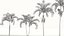 Adonidia merrillii - Manila palm 3D model
