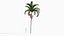 Adonidia merrillii - Manila palm 3D model