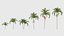 Adonidia merrillii - Manila palm 3D model