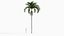 Adonidia merrillii - Manila palm 3D model