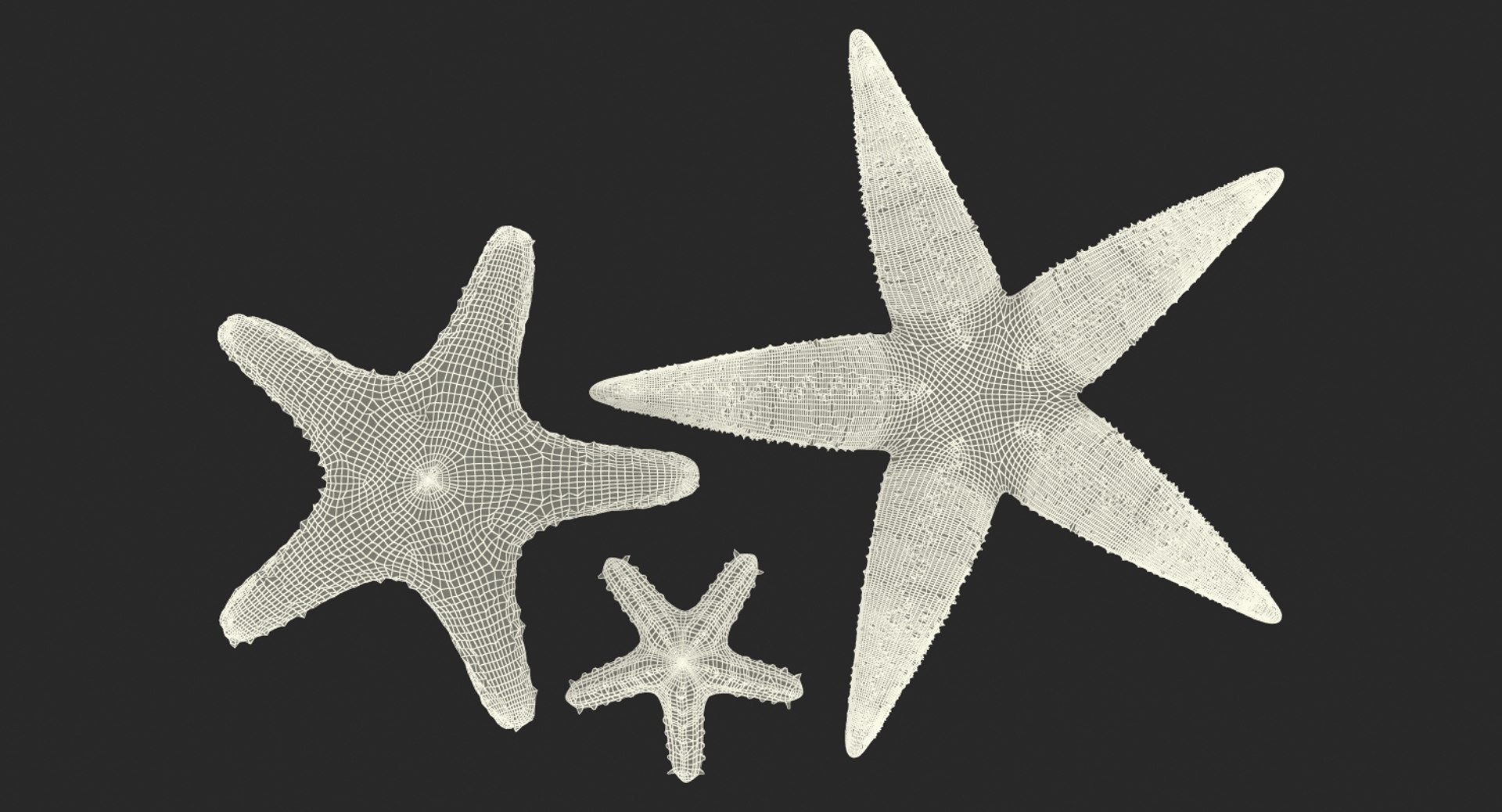 starfishes 2 3D model https://p.turbosquid.com/ts-thumb/ka/I6uJHD/LArGjSsr/starfishescollection3dmodels32/jpg/1491336481/1920x1080/fit_q87/549959b7c71f91afdbbc86a58a02f3af6d8d02ce/starfishescollection3dmodels32.jpg