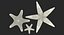 Colección de estrellas de mar 2