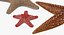 Colección de estrellas de mar 2