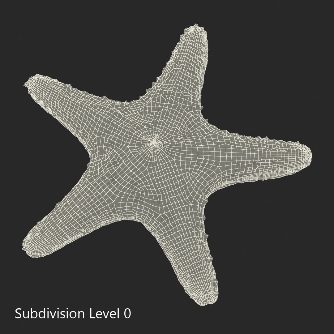 starfishes 2 3D model https://p.turbosquid.com/ts-thumb/ka/I6uJHD/ebWU29ak/starfishescollection3dmodels26/jpg/1491336481/1920x1080/fit_q87/91c3bdba054513a6816faeaa06fd5515278ead4b/starfishescollection3dmodels26.jpg