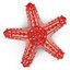 Colección de estrellas de mar 2