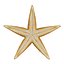 Colección de estrellas de mar 2