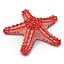 Colección de estrellas de mar 2