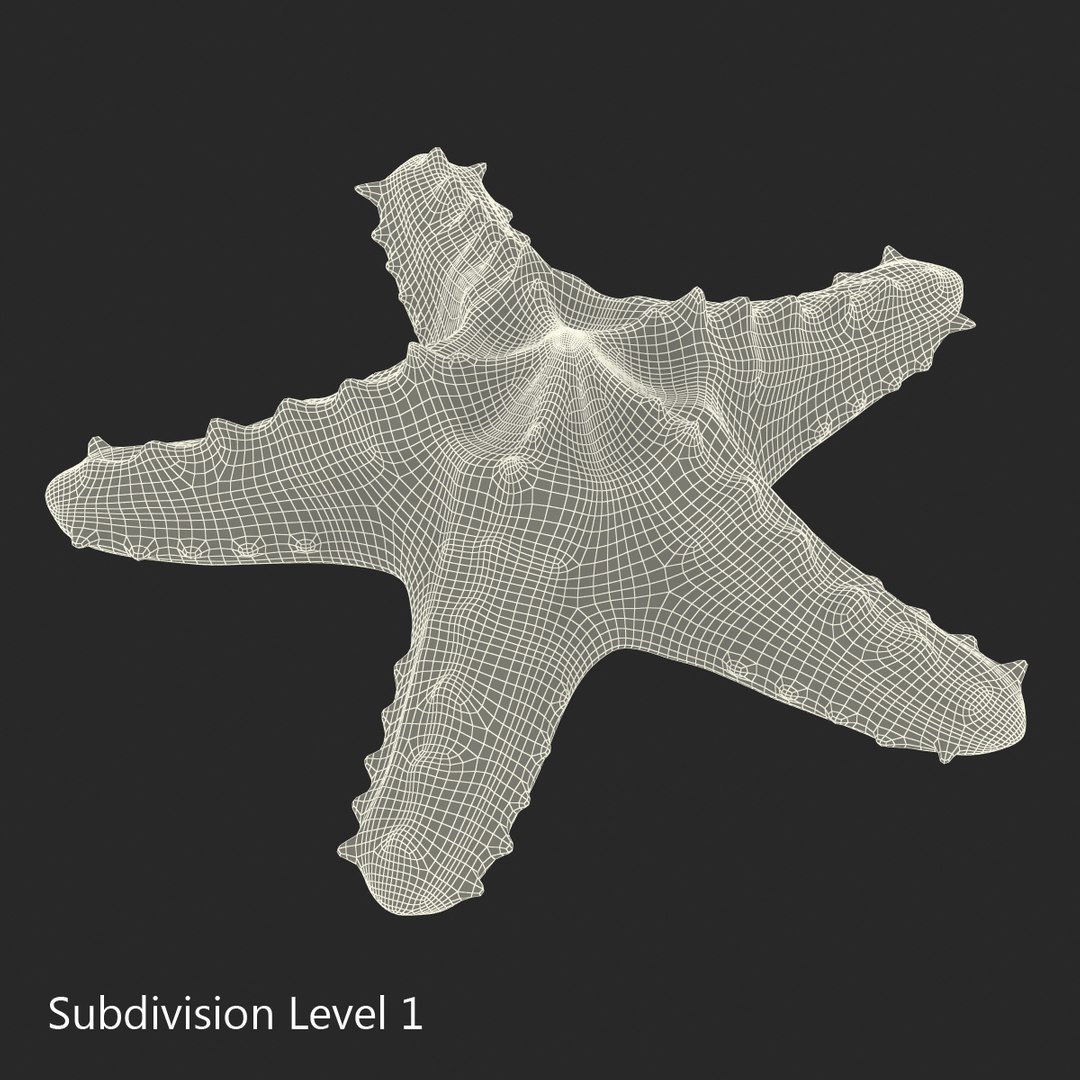 starfishes 2 3D model https://p.turbosquid.com/ts-thumb/ka/I6uJHD/oxFnTxrf/starfishescollection3dmodels25/jpg/1491336481/1920x1080/fit_q87/07be538b02f32281122740ef1e3bd74b82c31dc9/starfishescollection3dmodels25.jpg