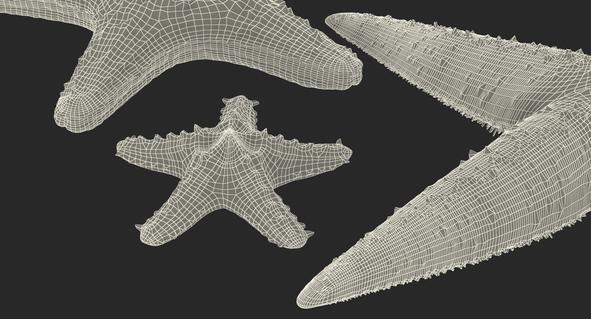 starfishes 2 3D model https://p.turbosquid.com/ts-thumb/ka/I6uJHD/pXmVfUug/starfishescollection3dmodels34/jpg/1491336481/1920x1080/fit_q87/66330d06b6488c2ee339f119b93d1e6d092467a5/starfishescollection3dmodels34.jpg