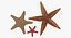 Colección de estrellas de mar 2