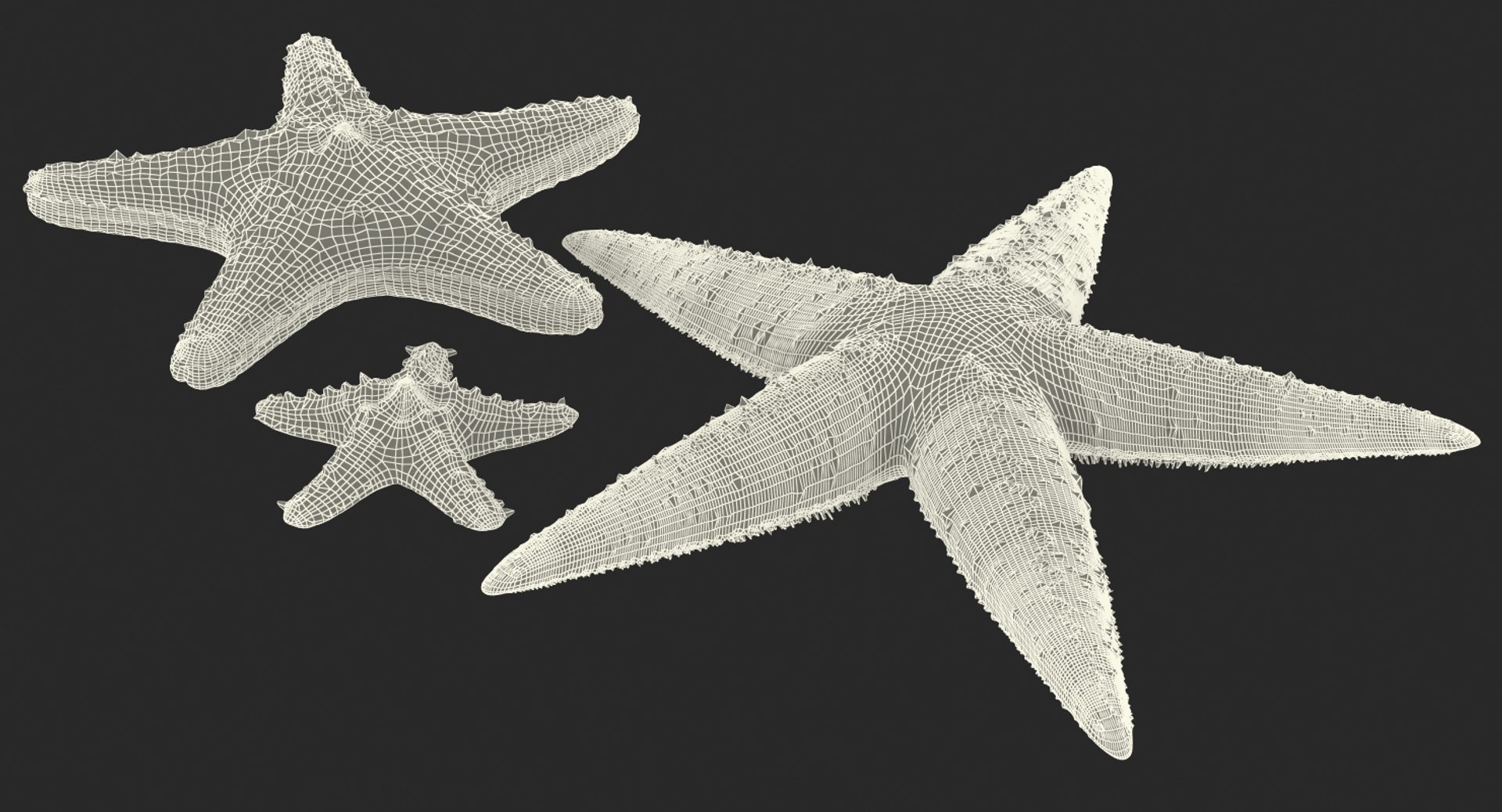 starfishes 2 3D model https://p.turbosquid.com/ts-thumb/ka/I6uJHD/uWzWyfRk/starfishescollection3dmodels33/jpg/1491336481/1920x1080/fit_q87/0094b94a96c2175ad9ea9648b23a981ea8d36b26/starfishescollection3dmodels33.jpg