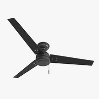 Ceiling fan - Hunter Cassius Black