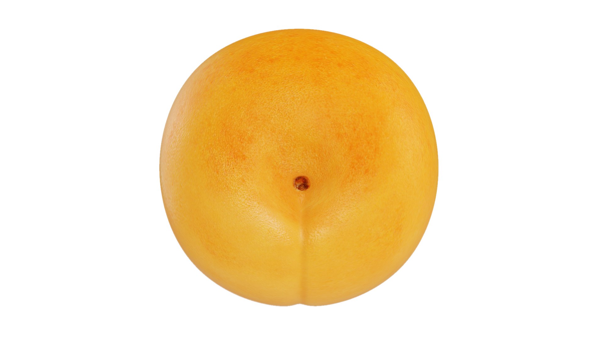 Apricot Whole Model - TurboSquid 1945612