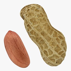 Peanut and Peanut Shell Collection model