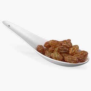 Brown Sultanas in a Spoon 3D