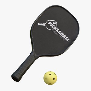 pickleball paddle