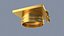 Golden Graduation Cap
