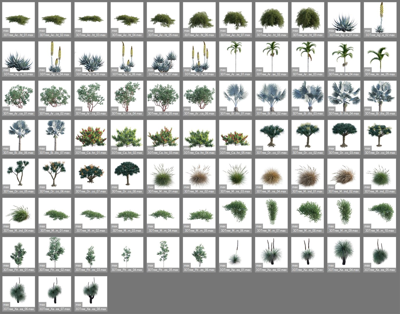 3D Australian Plants model https://p.turbosquid.com/ts-thumb/kb/KuogGZ/G2/3dtreebundle22view0301/jpg/1656566421/1920x1080/fit_q87/210e9e82bf4cf1644d99e46a2945a1ebe5ee51b8/3dtreebundle22view0301.jpg