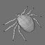 TICK