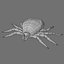TICK