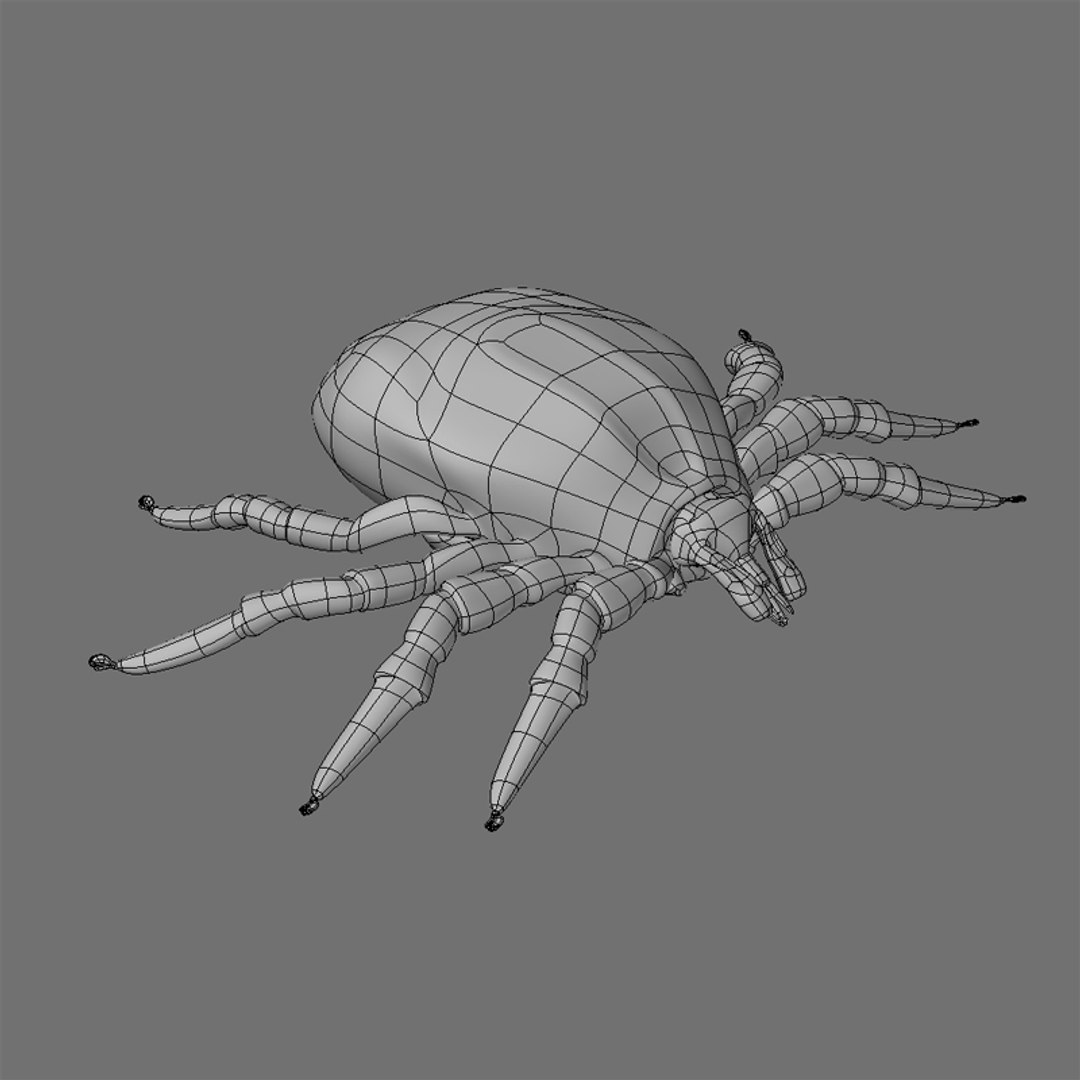3d tick https://p.turbosquid.com/ts-thumb/kb/M6i1FI/JUXSgeUV/ts_tick_a/jpg/1292283135/1920x1080/fit_q87/47e3162900bc61b8ee4745ec552006d40011cf9d/ts_tick_a.jpg