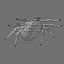 TICK