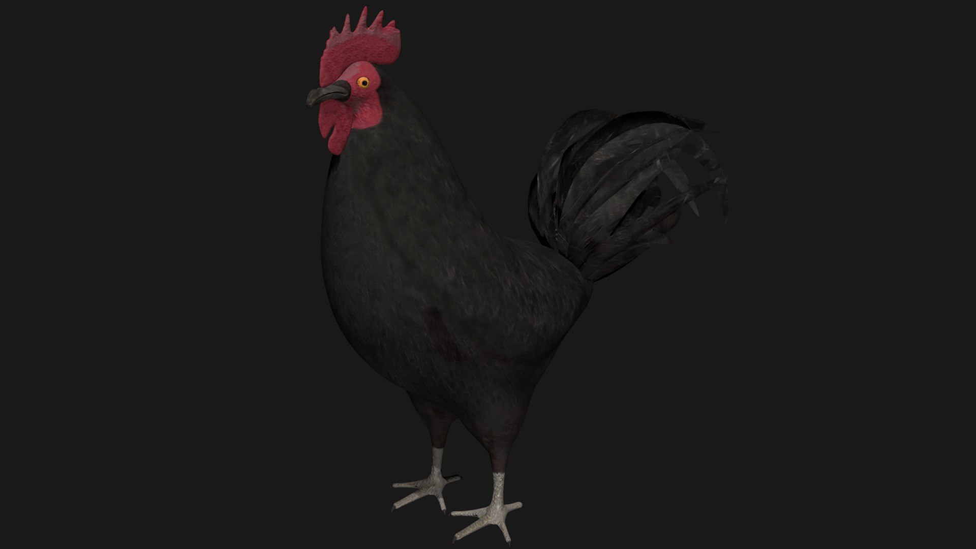 3D rooster hen rigged https://p.turbosquid.com/ts-thumb/kb/Zdeu3c/4j/a2/jpg/1608041210/1920x1080/fit_q87/c012c30322d3adae8554d5f359261be482664fde/a2.jpg
