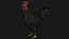 Poule Coq Noir Rigged Low Poly