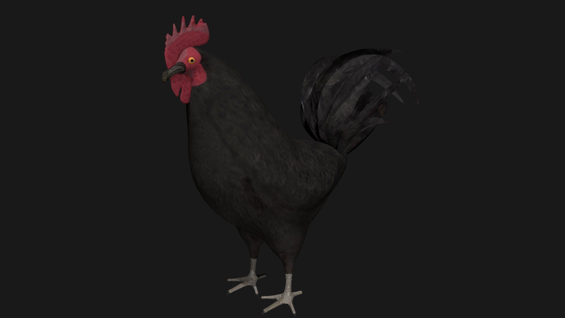 3D rooster hen rigged https://p.turbosquid.com/ts-thumb/kb/Zdeu3c/Li/a4/jpg/1608041217/1920x1080/fit_q87/e6afce783eb1cbd245405f9131190bf2cc940fa5/a4.jpg