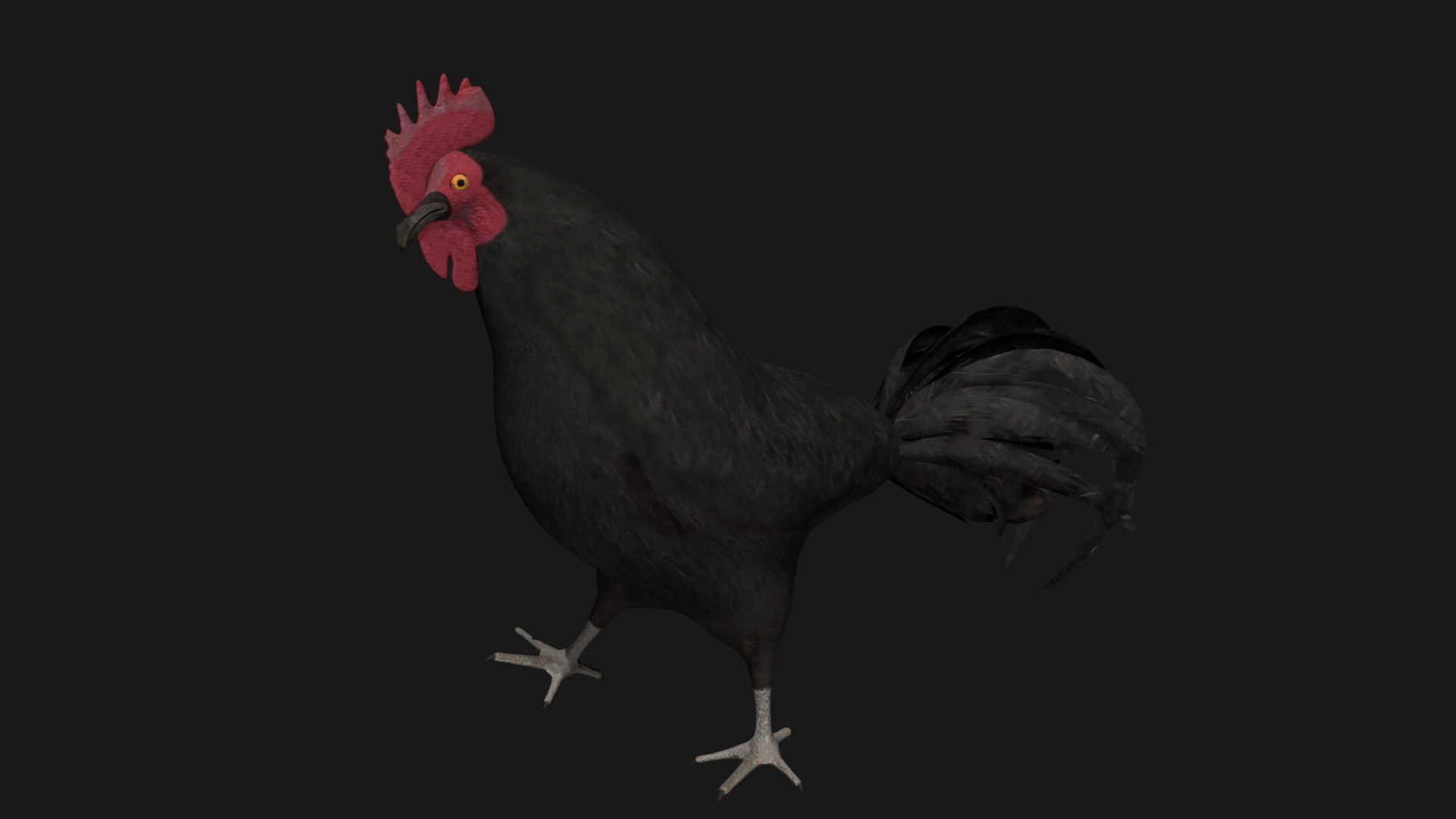 3D rooster hen rigged https://p.turbosquid.com/ts-thumb/kb/Zdeu3c/Ro/a6/jpg/1608041215/1920x1080/fit_q87/4074722deaf24dff36c0ef5dbc1b923558bc8bb0/a6.jpg