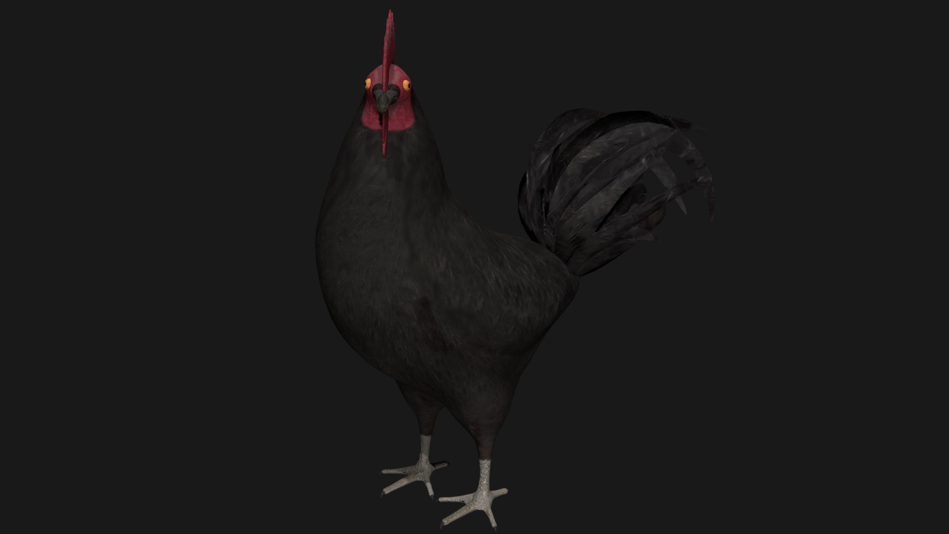 3D rooster hen rigged https://p.turbosquid.com/ts-thumb/kb/Zdeu3c/Vf/a3/jpg/1608041217/1920x1080/fit_q87/f67b7f932e2eb76cfc1f467be4275cd93f92c625/a3.jpg