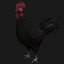 Poule Coq Noir Rigged Low Poly