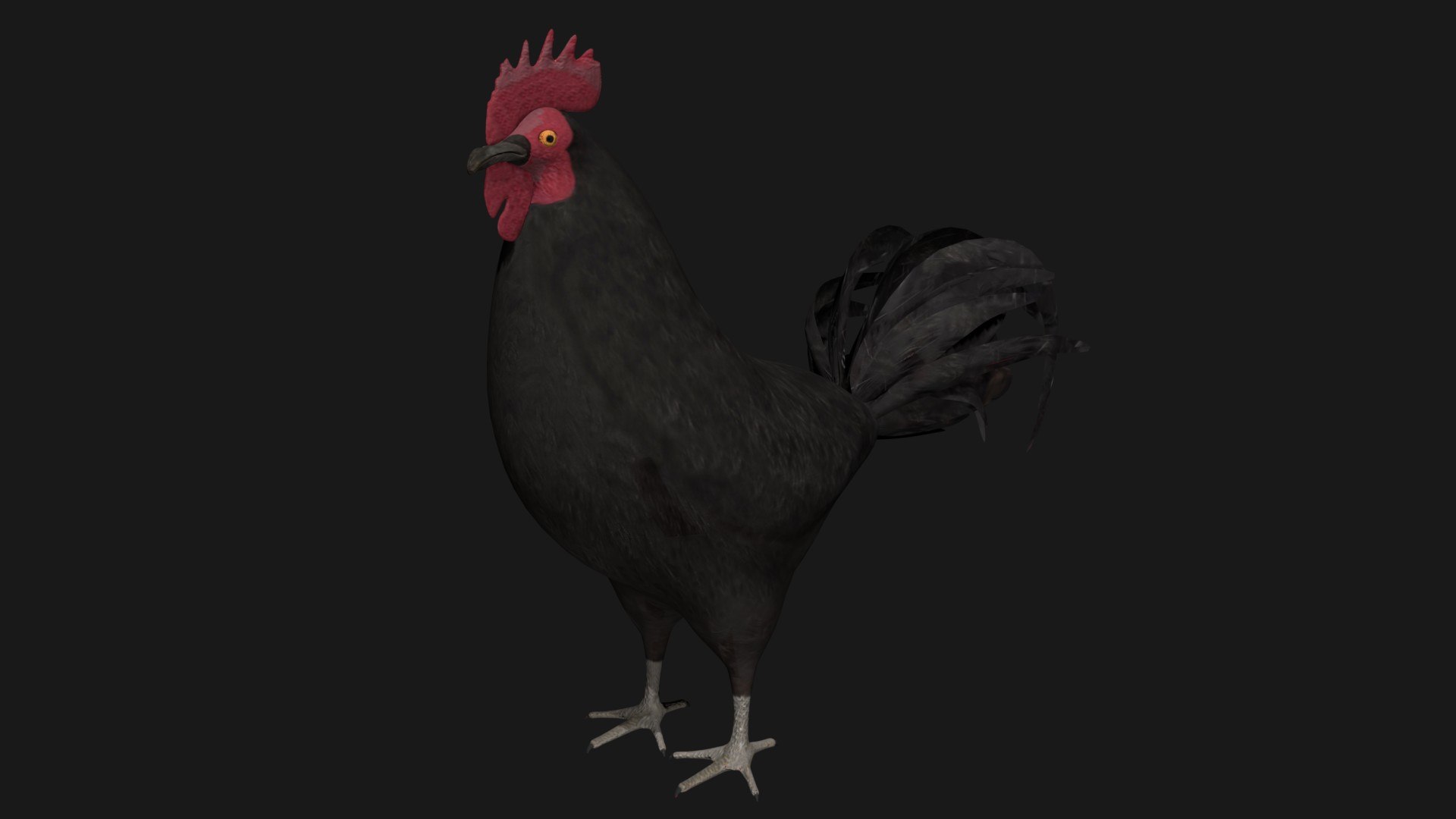 3D rooster hen rigged https://p.turbosquid.com/ts-thumb/kb/Zdeu3c/pt/a7/jpg/1608041219/1920x1080/fit_q87/8a13b722d68de60605b65596a2bb7077875bc03e/a7.jpg
