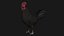 Poule Coq Noir Rigged Low Poly