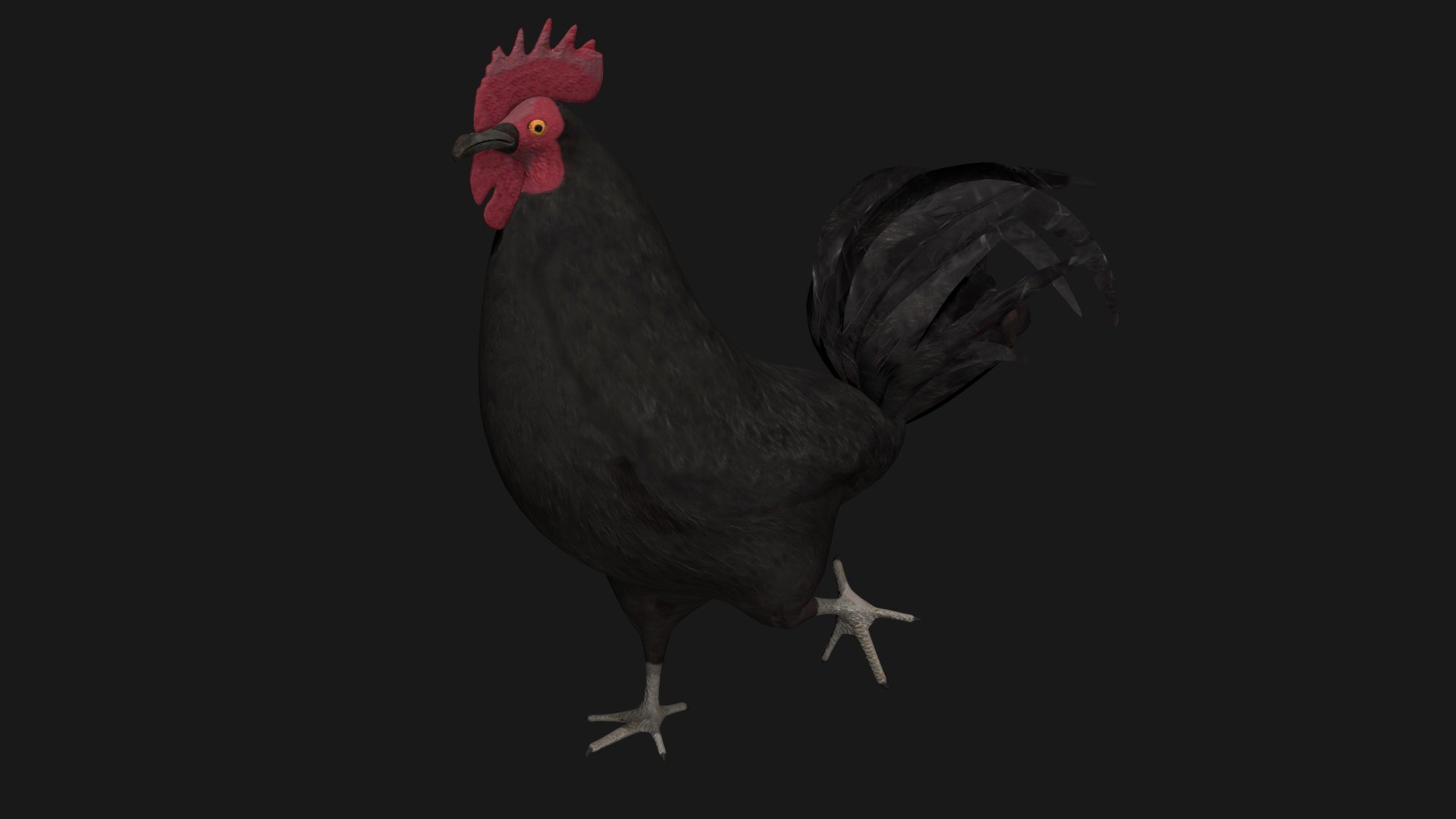 3D rooster hen rigged https://p.turbosquid.com/ts-thumb/kb/Zdeu3c/xy/a5/jpg/1608041210/1920x1080/fit_q87/dca65a16f841f37053c3511697ff8aaf6cb2ed5c/a5.jpg
