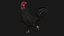 Poule Coq Noir Rigged Low Poly