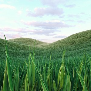 Grass Low Poly 3